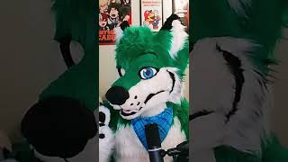 Fursona Hot Takes : Cat-Dogs and Umbreon