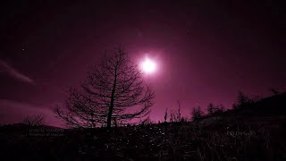 LOGICAL ELEMENTS - Symphony of energies