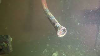 ESC Fire Pump Cleaning Koh Si Chang | Underwater Grating Cleaning by MaxiDive