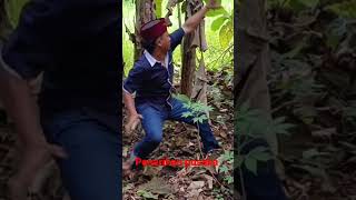 Download Lagu #shorts  penarikan pusaka kujang MP3