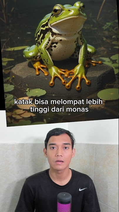 Ternyata katak bisa melompat lebih tinggi dari monas 😱#shorts #kodok #monas #melompat