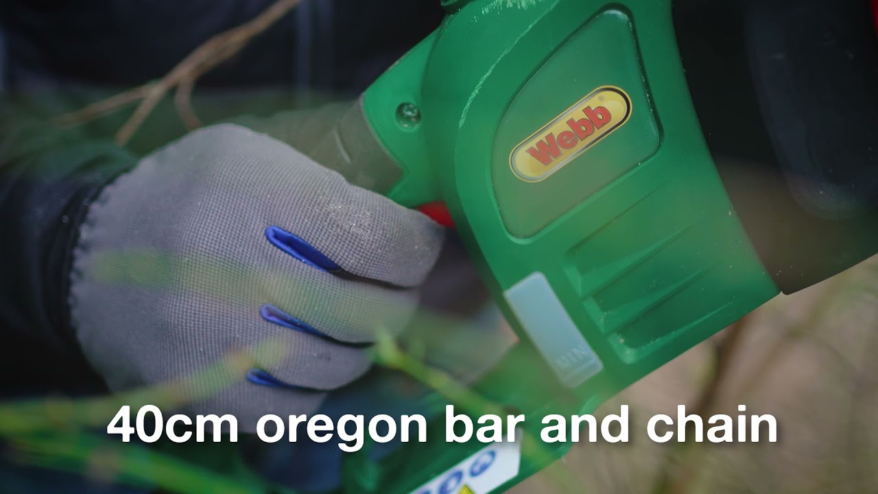 Dean Mowers - Webb Chainsaw