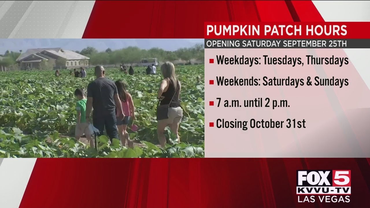Gilcrease Orchard in northwest Las Vegas opening pumpkin patch Sept. 25