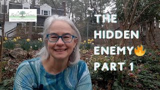 The Hidden Enemy: Understanding Chronic Inflammation | How It Affects Aging and Health Over 40