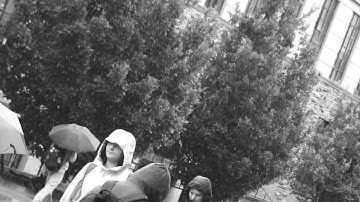 "Torrential Exhaustion" By Sam Sharp