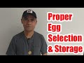 HOW TO SELECT EGGS FOR INCUBATION|PROPER STORAGE OF FERTILE CHICKEN EGGS(@Chicken Tour )