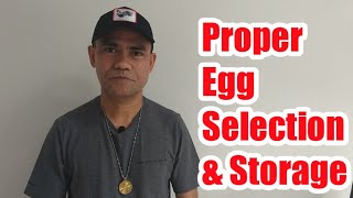 HOW TO SELECT EGGS FOR INCUBATION|PROPER STORAGE OF FERTILE CHICKEN EGGS(@ChickenTour )