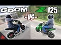 Honda Grom vs Kawasaki Z125 - IN RIDE Comparison!