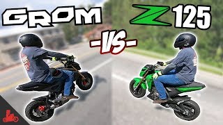 Honda Grom vs Kawasaki Z125  IN RIDE Comparison!