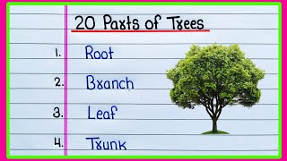 20 Parts Of Tree In English 20 Parts Of Trees Tree Parts Name In English Parts Of A Tree Name