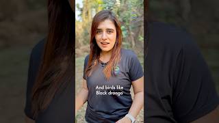 The wild hospital in Bengaluru - PFA