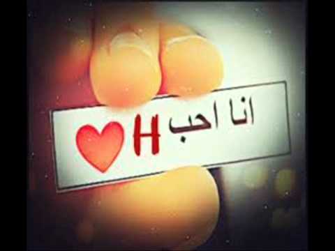 حماقى احلى الناس