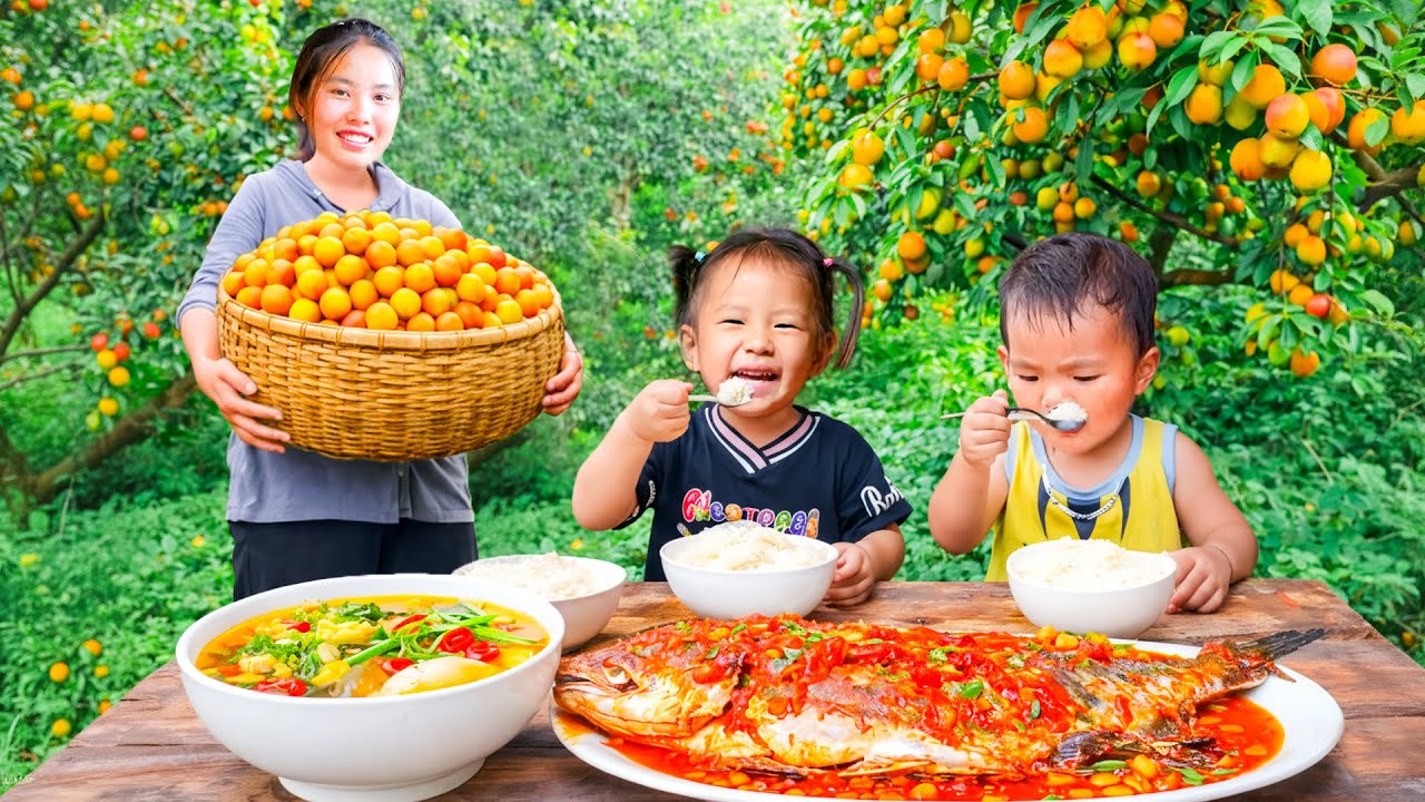 Harvesting Big Sour Plum Garden to Sell at Market and Cooking Giant Fish with Tomato for Little Kids