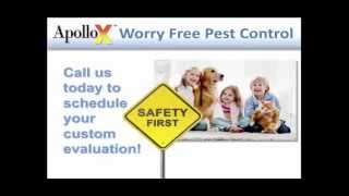 Safe Pest Control Treatment by ApolloX Pest Control, Greenwich CT