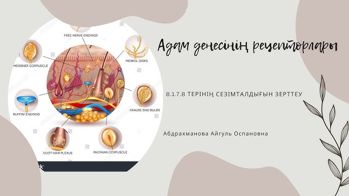 Ресейдегі порно онлайн Мен куннилингусты көріп бітірдім.