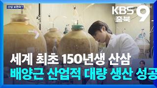 World's First Successful Industrial Mass Production of 150-Year-Old Wild Ginseng Cultured Roots /...