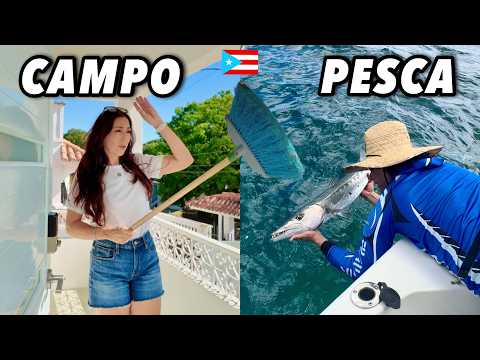 Por esto seguimos volviendo al campo de Puerto Rico 🇵🇷