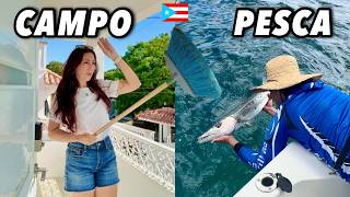 Por esto seguimos volviendo al campo de Puerto Rico 🇵🇷