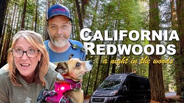 a NIGHT in the WOODS | California Redwoods
