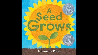A Seed Grows