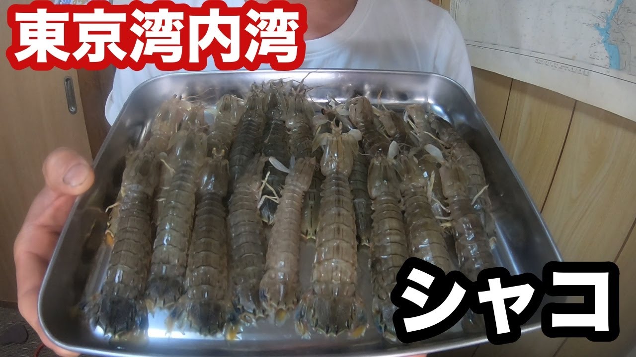 シャコ 東京湾内湾 味付けなしでそのままスープ Youtube