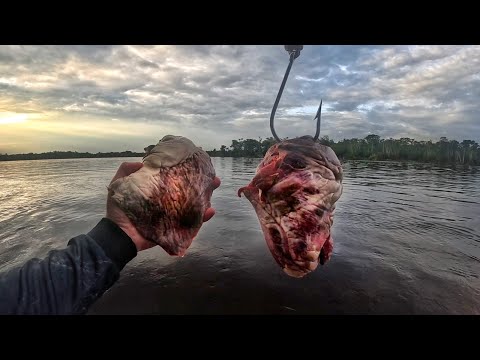 OX HEART WORKS, YOU CAN'T DENY IT!! fishing