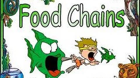 Food Chains ,Food Webs,Energy Pyramid in Ecosystems-Video for Kids