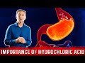 The importance of hydrochloric acid hcl in the stomach  dr berg