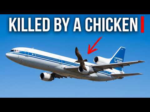 How a $2 Chicken Destroyed an Aerospace Giant