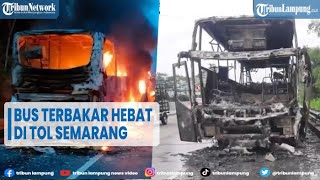 Bus Sudiro Tungga Jaya Terbakar Hebat di Tol Semarang @TRIBUNLAMPUNGNEWSVIDEO