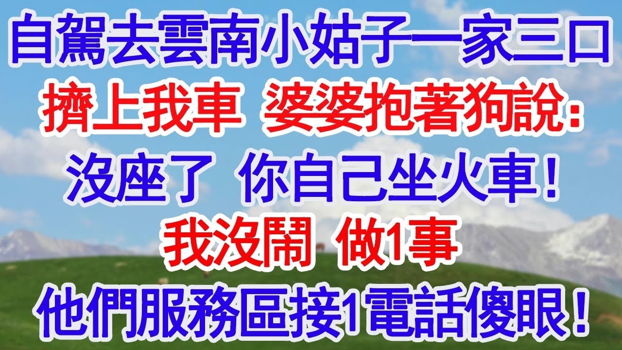 自駕去雲南，小姑子一家三口擠上我車，婆婆抱著狗對我説：車裡沒座了，你自己坐火車去！我沒鬧 做1事，到服務區接到1電話他們傻眼了！#深夜淺讀 #故事分享 #人生感悟 #情感