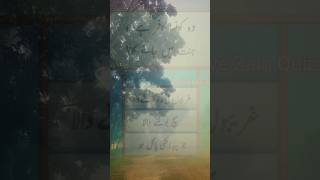 knsa qafir jannat mai jayga #qafir #jannat #jahannam #oye_zain_quiz #generalknowledge #sabal #jabbab