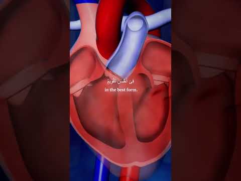 #islamicvideos #islmicstories #islmicshorts #allah #islamicstatus #ramadan #islamicquotes