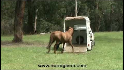 Horse Float Loading Trailer Loading