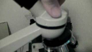 Amscope M600A and Quickcam 9000 Tour