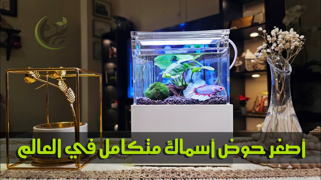 أصغر حوض أسماك متكامل بالعالم | شرح كامل |