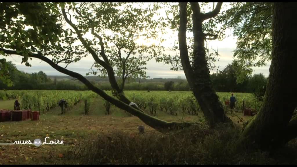 Vues sur Loire : Détours Gourmands au Château D’Artigny