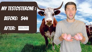 Celebrity I Ate Testicles For 14 Days For Science Net Worth