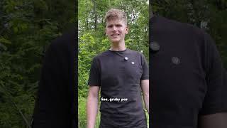 Nóż ząbkowany czy gładkie ostrze? 🔪