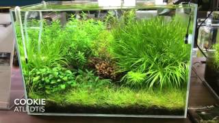 Atledtis Cookie Spot Led Rgb Pour Aquarium Planté