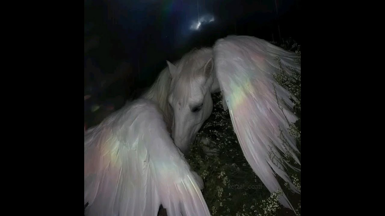 [free] yeat + a dangerous lyfe type beat "darkside"