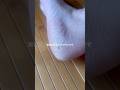 【検証　ガチゴチかかとvs角質パック】
