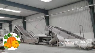 Pumpkin processing production line installation and commissioning site