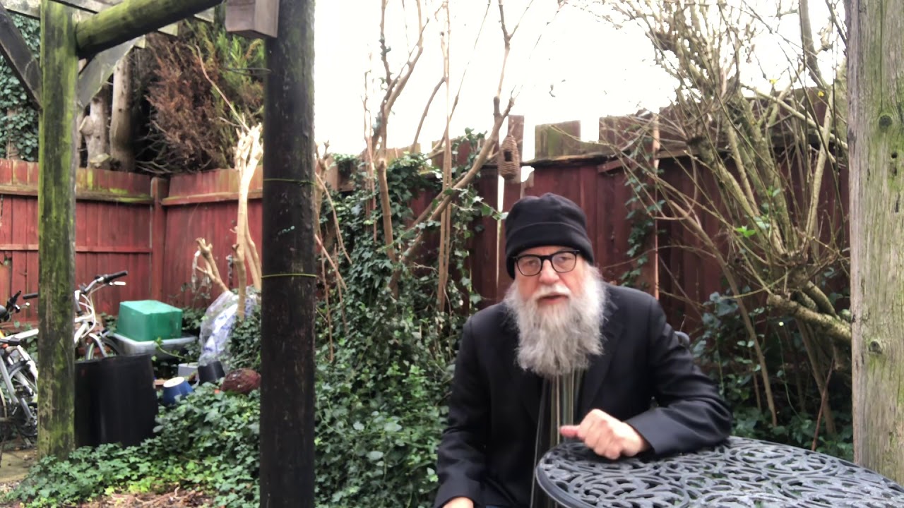 Survivor's Sonnet by Merryn Williams Poem 