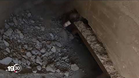 A robot snake for rescue missions!