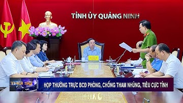 Họp Thường trực BCĐ phòng, chống tham nhũng, tiêu cực tỉnh