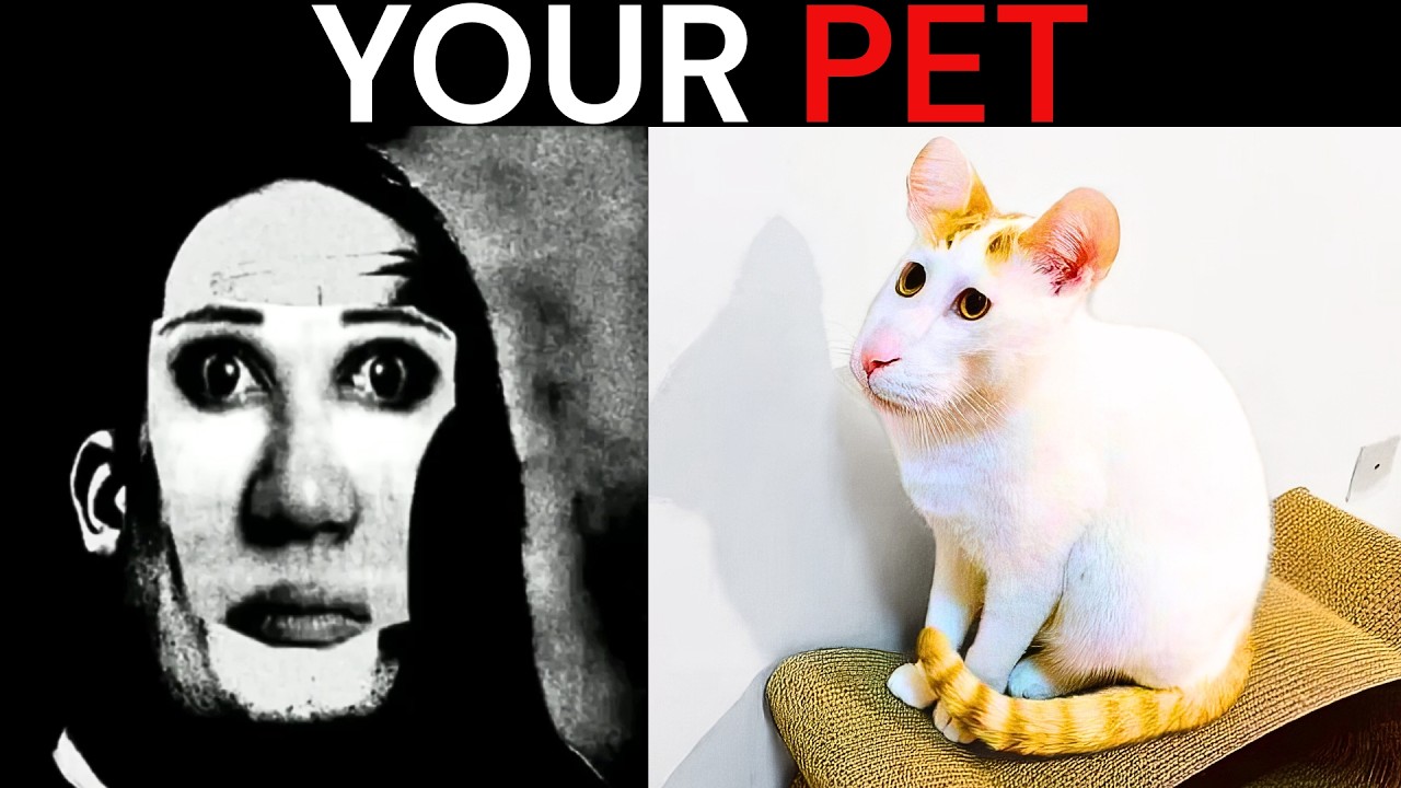 Mr Incredible Becoming Uncanny meme (Your pet) | 50+ phases