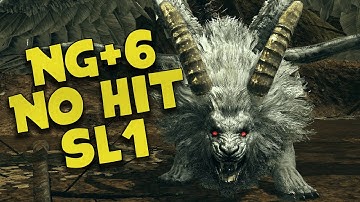 Sanctuary Guardian - SL1 NG+6 (Flawless)