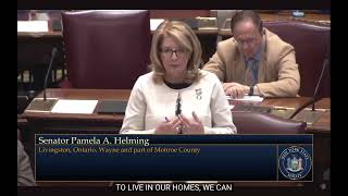 Senator Helming Explaining Her Vote on S1783B