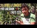 20 Edible Flowers You Can Grow & Eat Taste Test